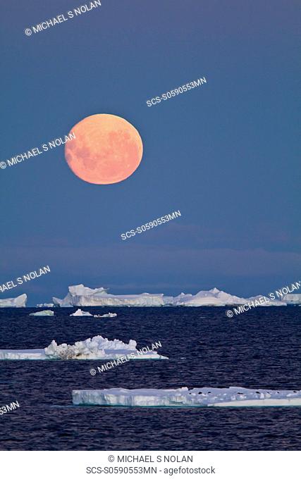 Full moon plus 1 day rising over icebergs in the Weddell Sea, Antarctica MORE INFO This moonrise occurred on January 1, 2010