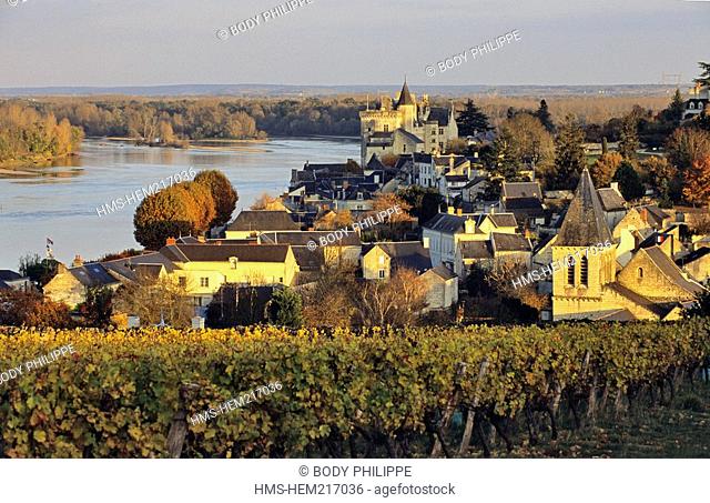 France, Maine et Loire, Loire Valley, Montsoreau, labelled Les Plus Beaux Villages de France The Most Beautiful Villages of France