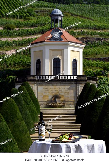 A bottle of whie wine, a glass with white wine and a cheese platter pictured at the Schloss Wackerbarth vineyards in front of the Belvedere chateau in Radebeul