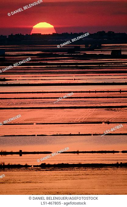 Flooded rice fields. Albufera Natural Park. Valencia province. Spain