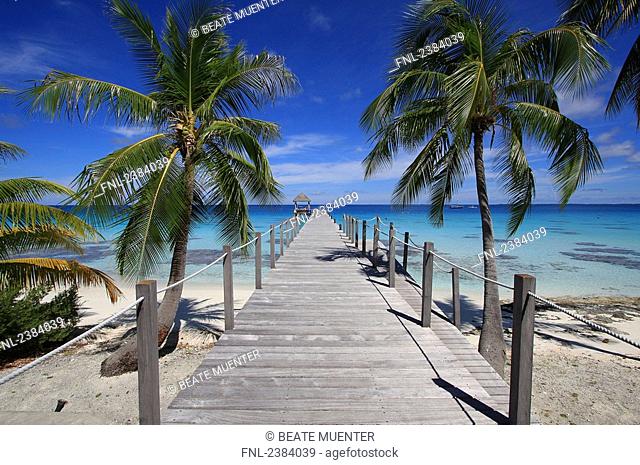 Pier and palm trees on beach, Maitai Dream Hotel, Fakarava, Tuamotu Archipelago, French Polynesia, Polynesia, Pacific Island