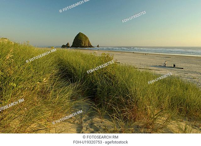 Cannon Beach, OR, Oregon, Pacific Ocean, Pacific Coast Scenic Byway, Rt Route, Highway 101, Cannon Beach, Haystack Rock