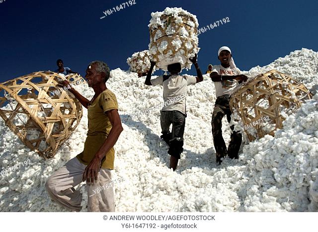 Cotton Shri Dnyaneshwar Ginning Pressing factory Pvt Ltd Kadka Maharashtra India