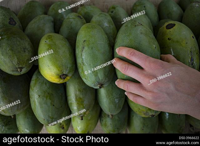 Galle, Sri Lanka Mangoes at a farm market stall