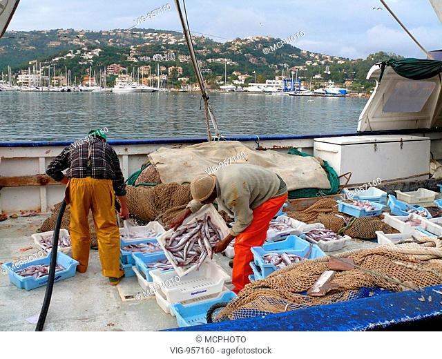fishermen sorting and cleaning catch on a fishing boat in harbour, Spain, Majorca, Puerto Andratx - Puerto Andratx, Mallorca, Spanien, 26/04/2008