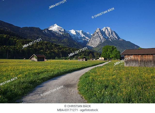 Country lane, spring meadows, view to the Wetterstein mountains, Garmisch-Partenkirchen, Bavaria, Germany