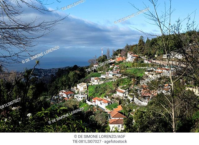 Portugal, Madeira Island, Funchal, Monte