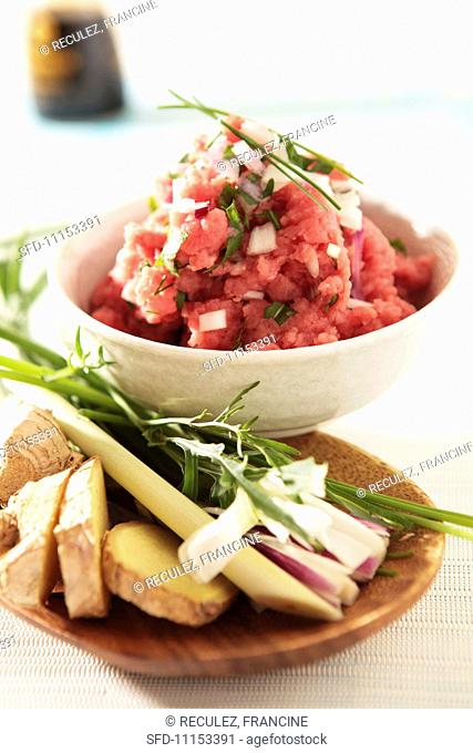 Tartare of meat with chives and onions