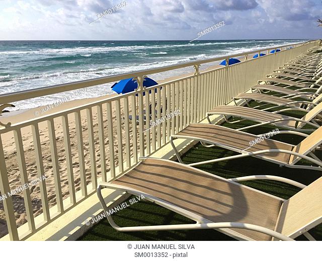 Lounchairs in a row in front of ocean, Lantana, Florida, USA
