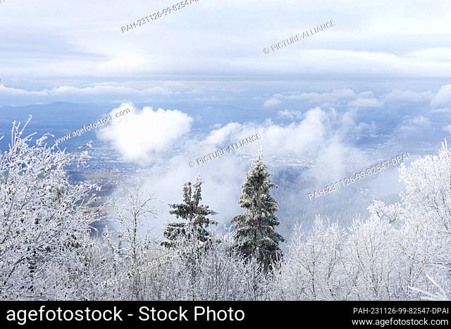 26 November 2023, Baden-Württemberg, Oberried: Snow lies on the trees near the summit of the Schauinsland while the Breisgau and the Rhine plain can be seen in...