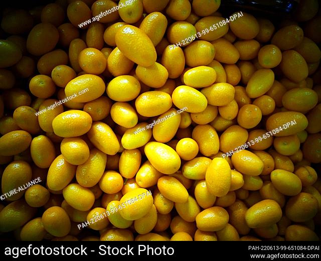 07 April 2022, Berlin: Yellow kumquats at Fruit Logistica, the international trade fair for fruit and vegetables, photographed on 07.04
