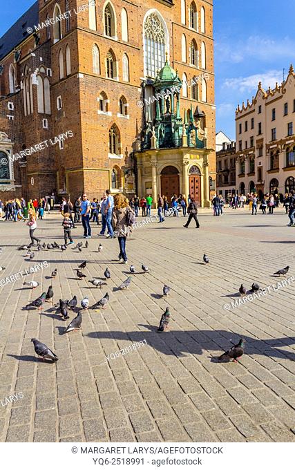 Pigeons and tourists in the Main Market Square in Krakow, in front of historic Mariacki Church