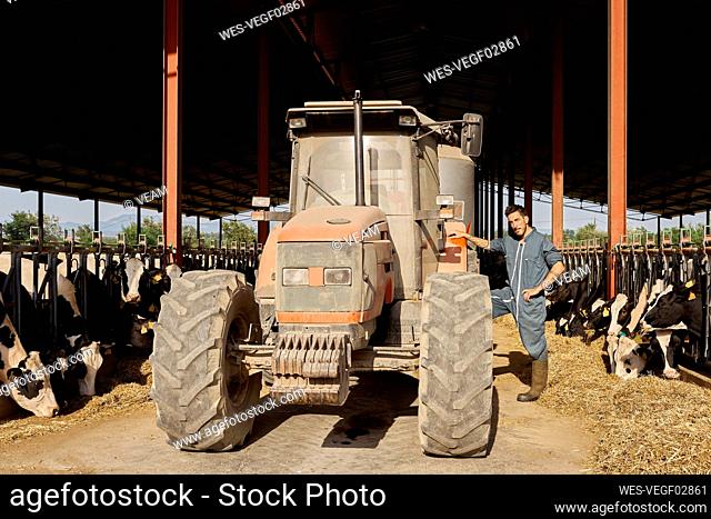 Farmer standing by tractor in cows cattle