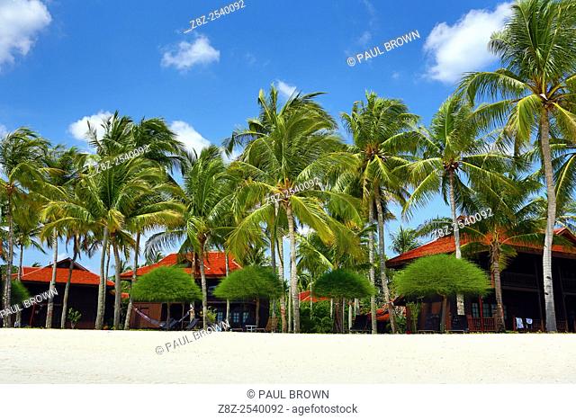 Tropical sandy beach with palm trees in Pantai Cenang, Langkawi, Malaysia