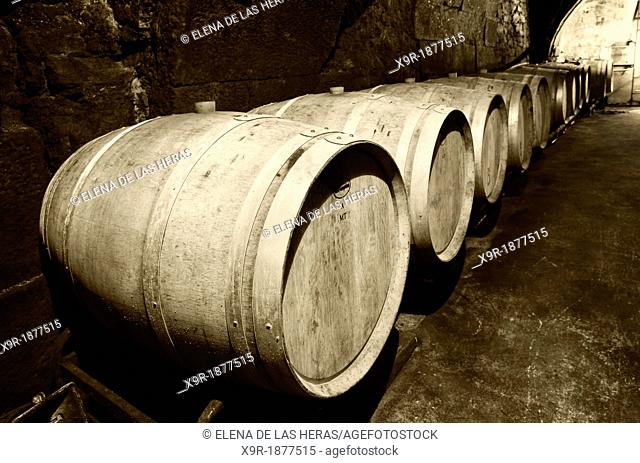 Casks resting in a cellar  Lanciego  Rioja alavesa wine route  Alava  Basque country  Spain