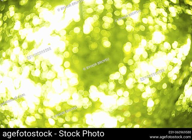 Blurred Lights Bright Green. Spring Bokeh. Abstract Summer Background