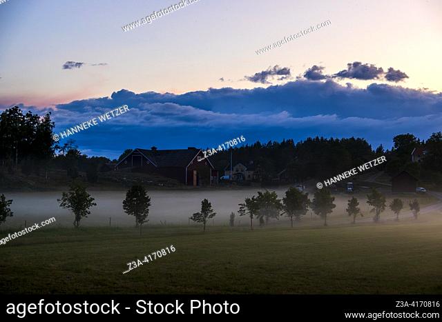 Meadow in the mist during sunset, Sweden