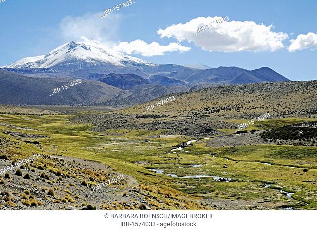 Guallatiri Volcano, course of a river, fertile valley, village of Guallatiri, Reserva Nacional de las Vicunas, Lauca National Park, Altiplano, Norte Grande