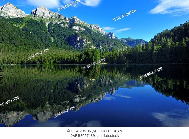 Tovel Lake, Non valley, Adamello-Brenta Nature Park, Brenta Dolomites (Unesco World Heritage List, 2009), Trentino-Alto Adige, Italy