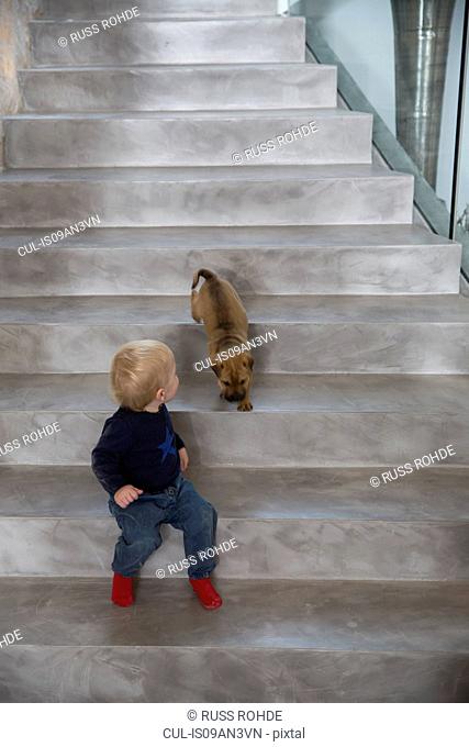 Male toddler sitting on house staircase looking over shoulder at puppy