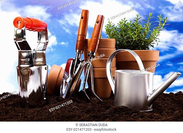 Plant and garden tools