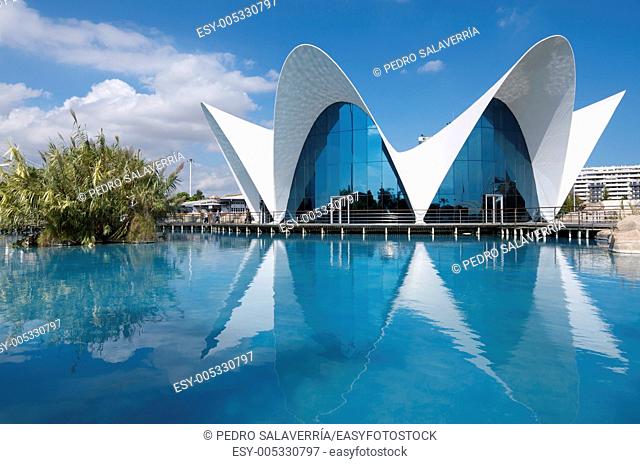 Aquarium known as Oceanografic  Located in the City of Arts and Sciences is the largest aquarium in Europe  Valencia, Spain