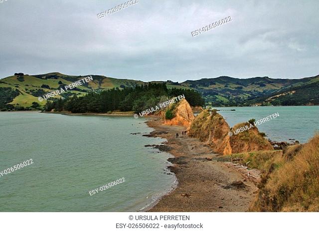 Landscape in New Zealand, centre of an old vulcano. Banks Peninsula