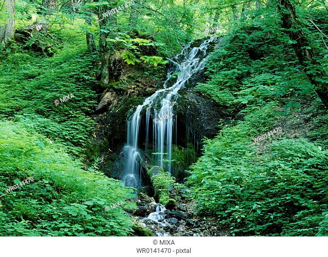 Waterfall, Nagano, Japan