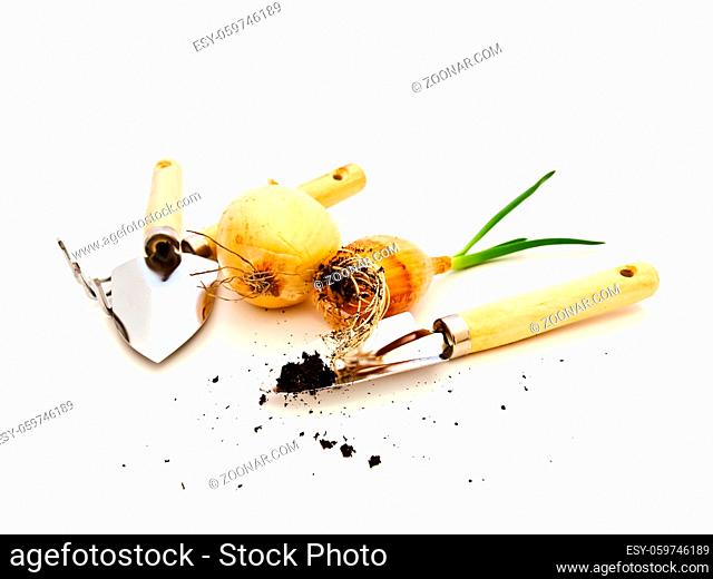 Some Gardening Tools And Green Onion Bulbs Against White Background