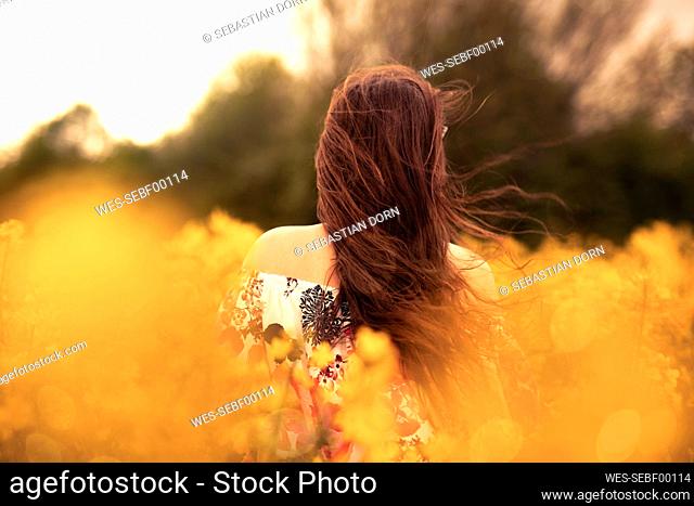 Rear view of young woman in a rape field