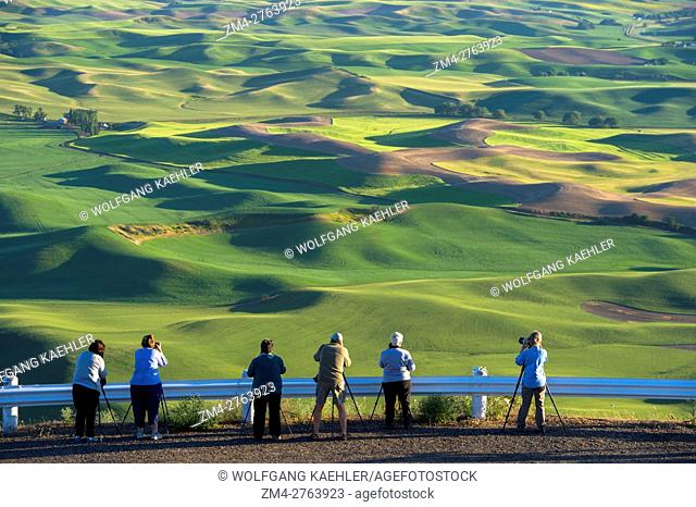 People photographing fields from Steptoe Butte State Park in Whitman County in the Palouse near Pullman, Washington State, USA