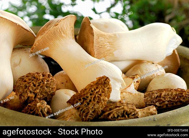 Bowl of mixed mushrooms