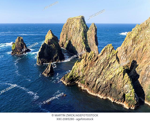 Landscape on West Shetland. the cliffs between Silwick and Westerwick. Europe, Great Britain, Scotland, Northern Isles, Shetland, May