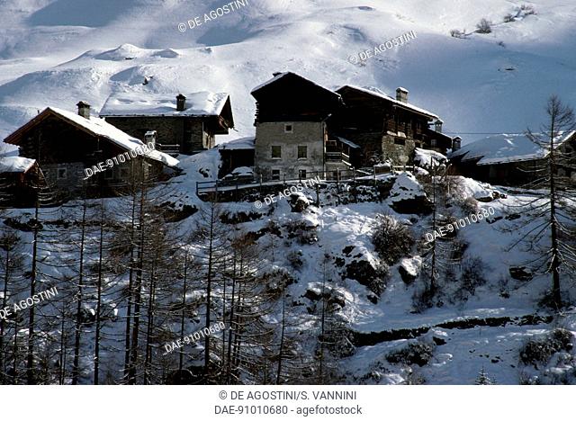 Tignet, Valsavarenche, Gran Paradiso National Park, Valle d'Aosta (Western Alps), Italy