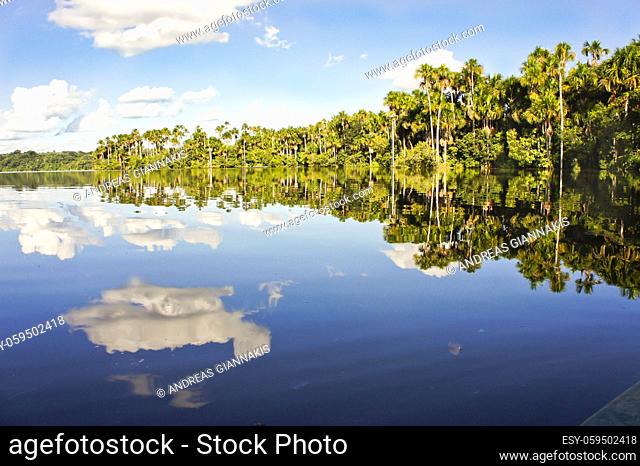 Amazon Basin, Sandoval Lake, Tambopata National Reserve, Peru, South America