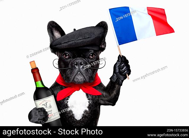 french bulldog with red wine waving flag of france