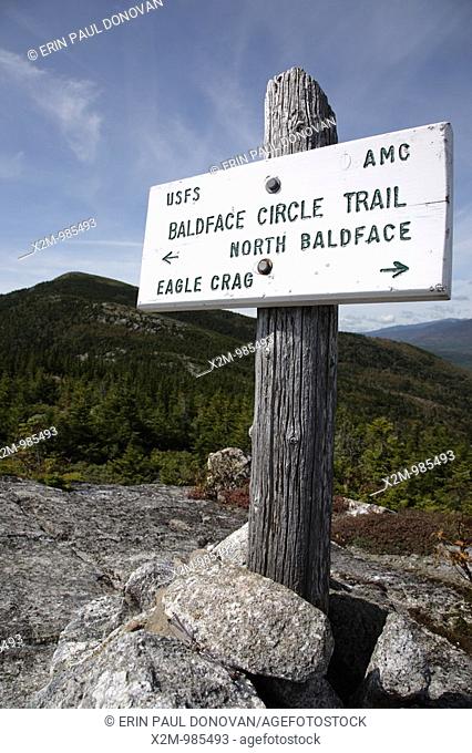 Baldface Circle Trail during the summer months  Located in the White Mountains, New Hampshire USA