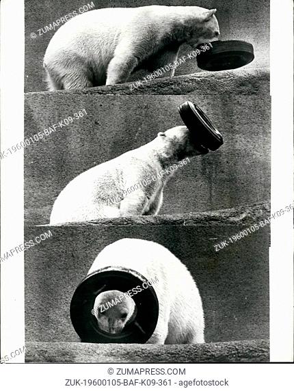 1968 - Playtime with pipalux. Enjoying the Warner weather at his home on Mappin Terrace, London zoo - is the world's favorite polar bear Pipaluk - who was born...