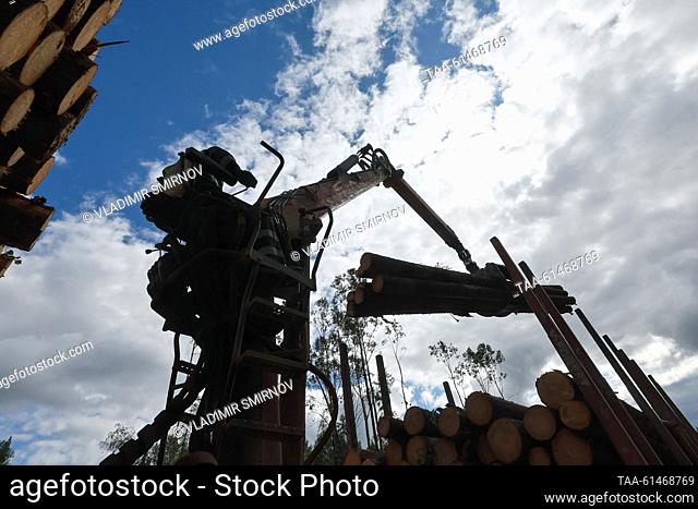 RUSSIA, VOLOGDA REGION - AUGUST 23, 2023: A man operates a log stacker at a timber site of Vozhega-Les, a logging company based in the village of Kadnikovsky...