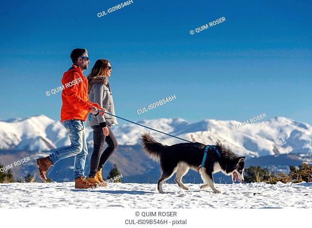 Couple walking dog in snow covered mountain landscape