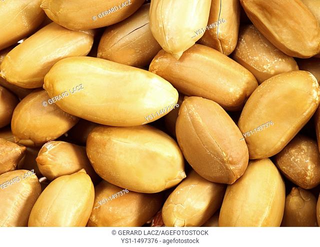 Peanuts, arachis hypogaea