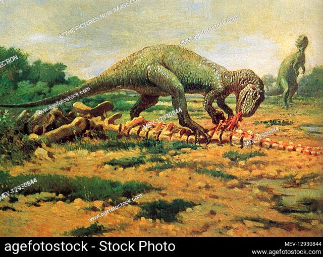 Allosaurus Feasting