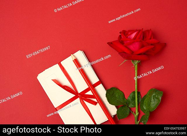 red blooming rose, a stack of vintage paper cards and red wooden pencil on a color background, top view