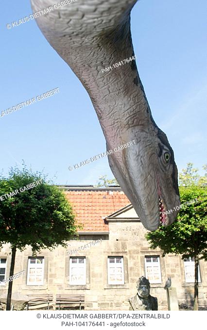 23.05.2018, Saxony-Anhalt, Halberstadt: The model of a Plateosaurus stands in front of the Museum Heineanum. The Dinosaur Education is on loan from the...