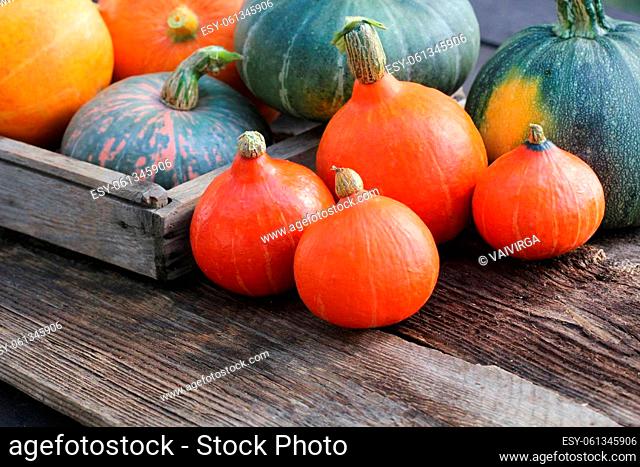 Autumn pumpkin Thanksgiving background concept . Orange and green pumpkins in wooden box on rustic table