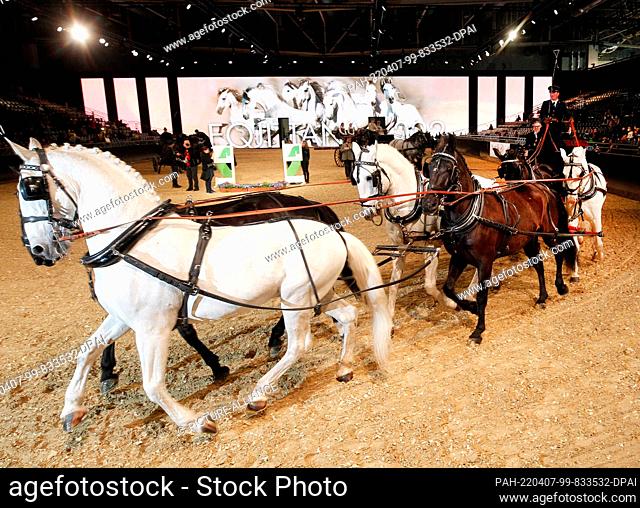 07 April 2022, North Rhine-Westphalia, Essen: A six-in-hand horse makes its rounds through the ring in the Hop Top Show Rhapsody