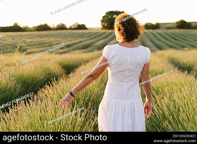 Beautiful woman in a white dress walks in the lavender field