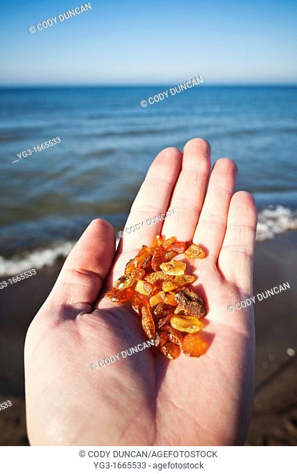 Hand holding amber found on beach with Baltic sea in background, Curonian Spit, Lithuania