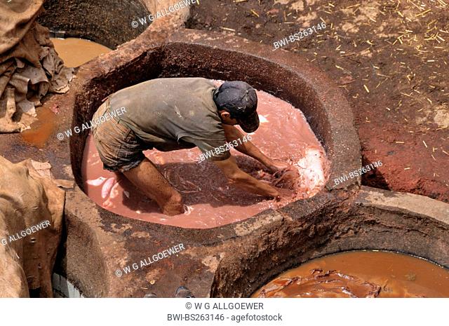 man watering leather in troughs of tanners' and dyers' quarter chouwara, Morocco, Fes