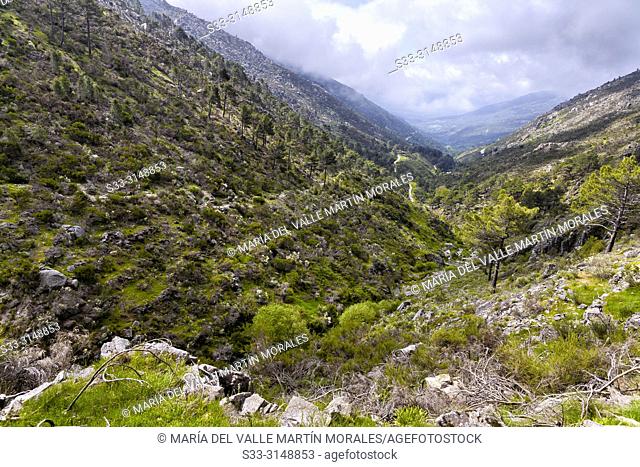 Path at Eliza gorge in the Sierra de Gredos. Avila. Spain